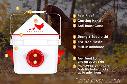 10lb Chick2Chicken BPA-Free 4-Port Chicken Feeder - Image 4