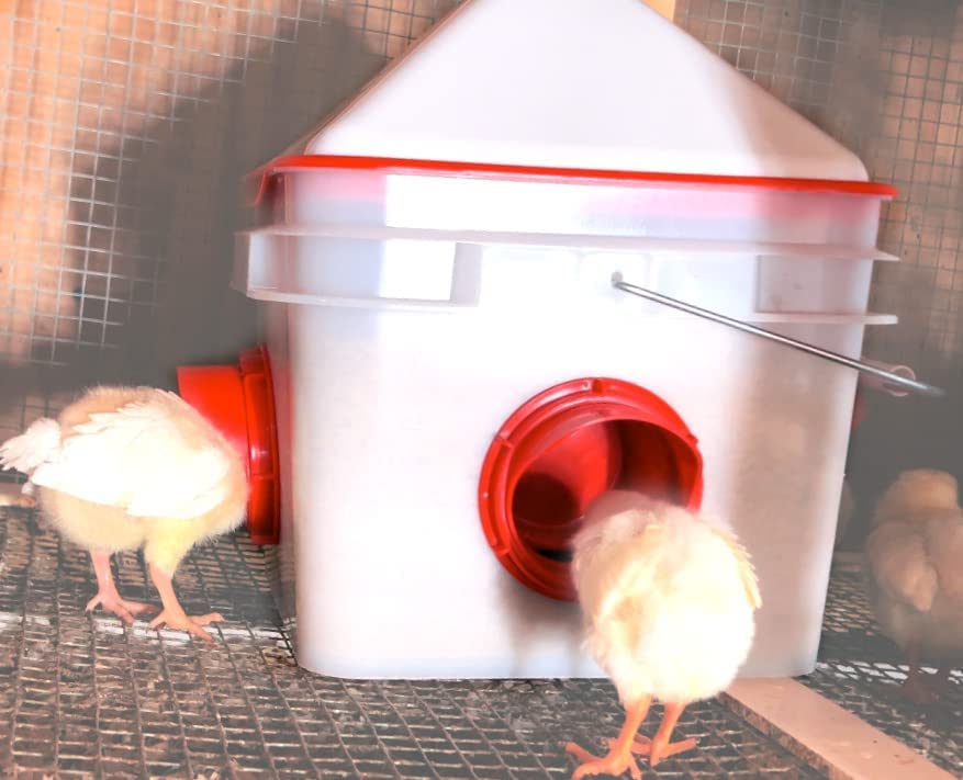 10lb Chick2Chicken BPA-Free 4-Port Chicken Feeder - Image 7