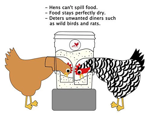 20lb BPA-Free Chicken Feeder with Large Ports - Includes Lid, Anti-Roost Cone, Ports, Rain Hoods - Image 3