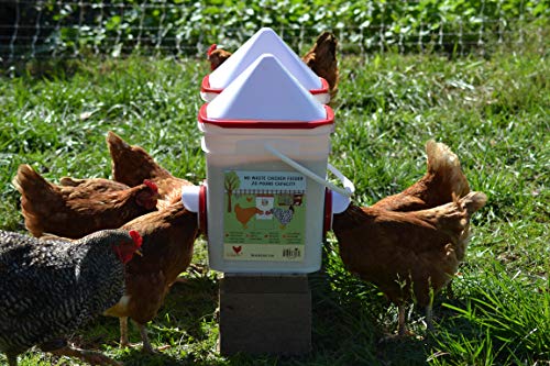 20lb BPA-Free Chicken Feeder with Large Ports - Includes Lid, Anti-Roost Cone, Ports, Rain Hoods - Image 4