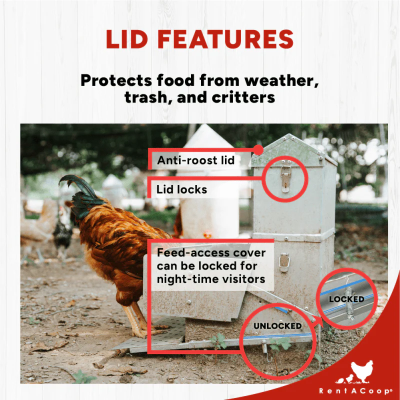 40lb Automatic Metal Treadle Chicken Feeder - Outdoor Use, Rainproof - Image 3