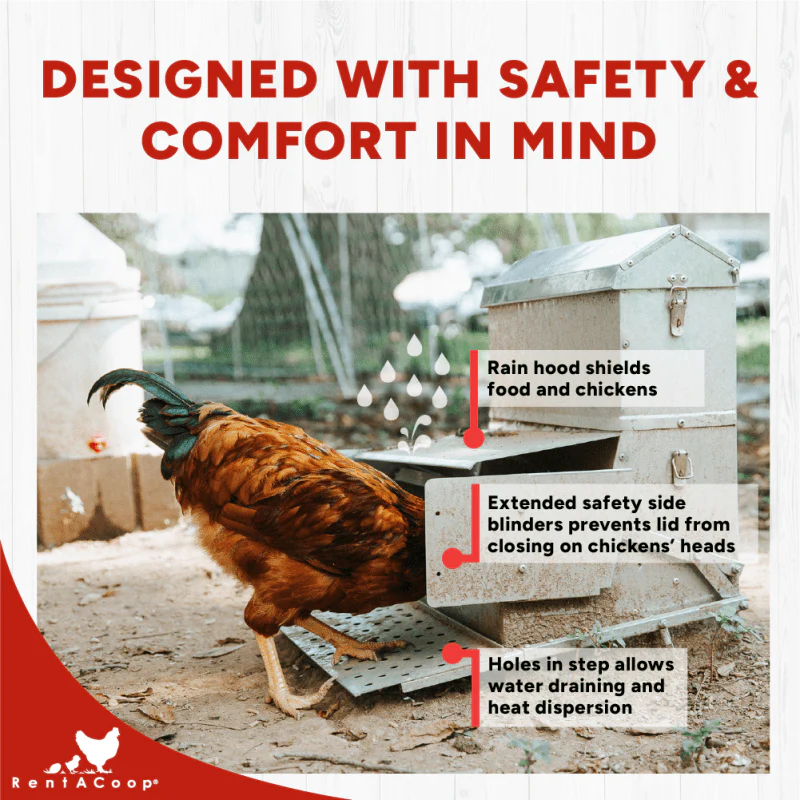 40lb Automatic Metal Treadle Chicken Feeder - Outdoor Use, Rainproof - Image 4