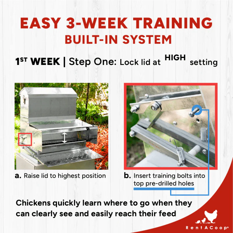 40lb Automatic Metal Treadle Chicken Feeder - Outdoor Use, Rainproof - Image 6