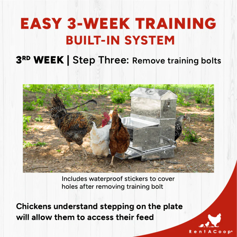 40lb Automatic Metal Treadle Chicken Feeder - Outdoor Use, Rainproof - Image 8
