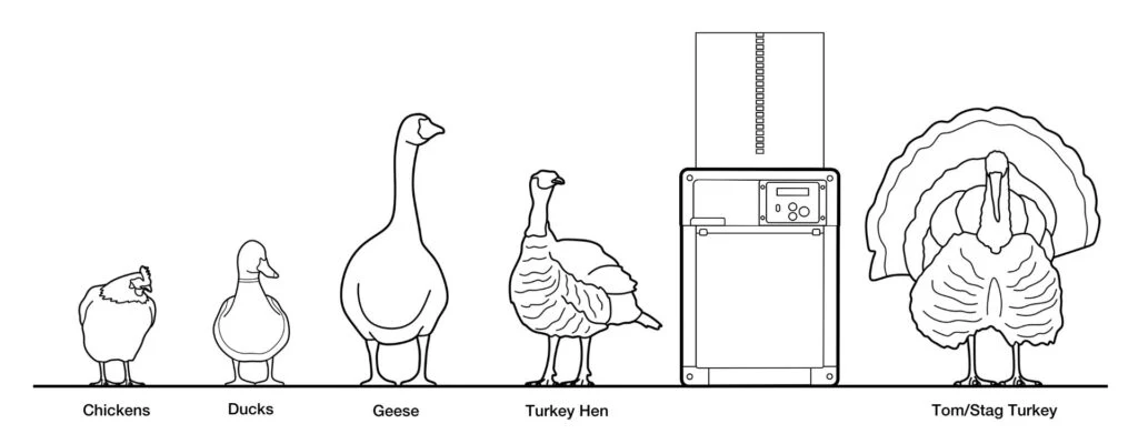 All In One Chicken Coop Door - Chicken Guard - Image 13