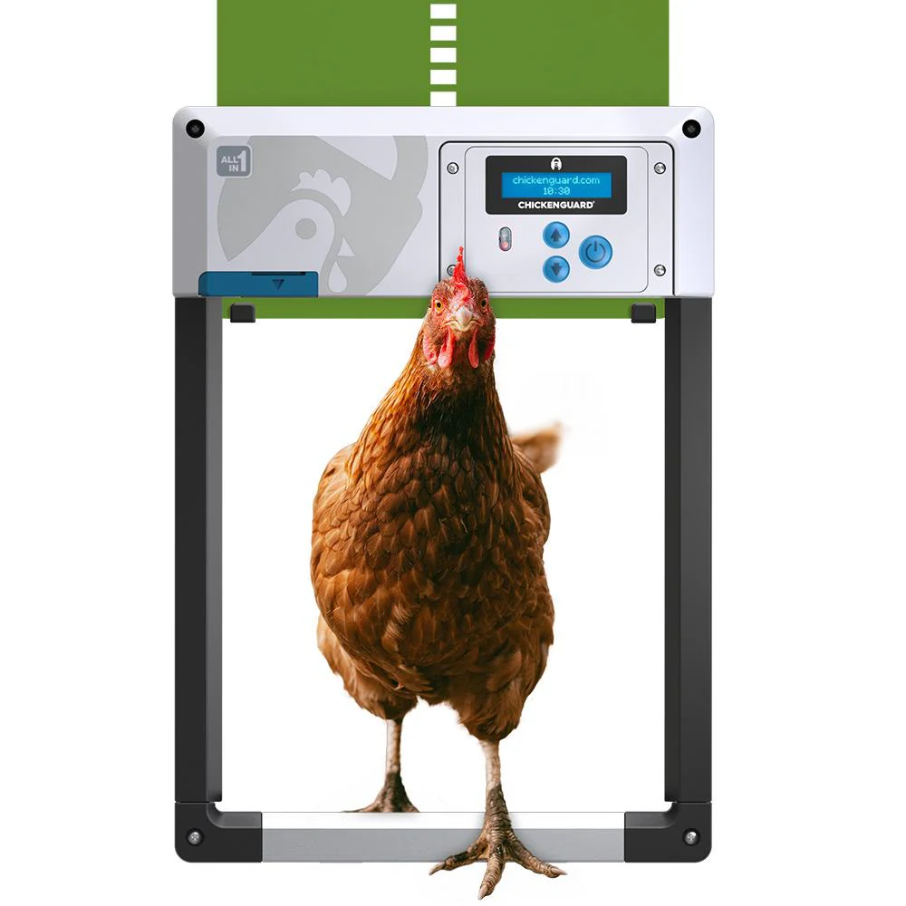All In One Chicken Coop Door - Chicken Guard - Image 4