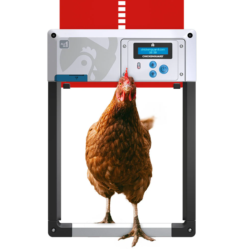 All In One Chicken Coop Door - Chicken Guard - Image 5