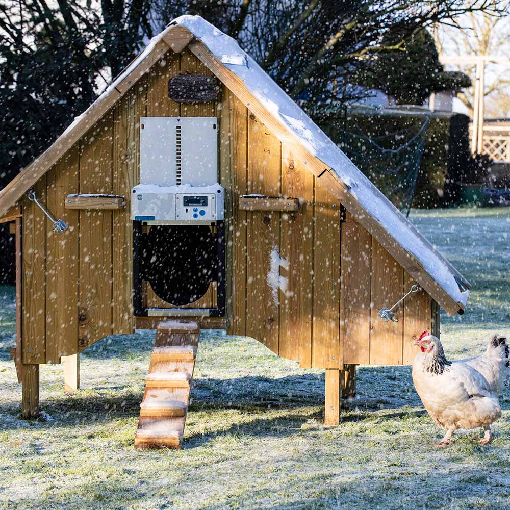 All In One Chicken Coop Door - Chicken Guard - Image 7