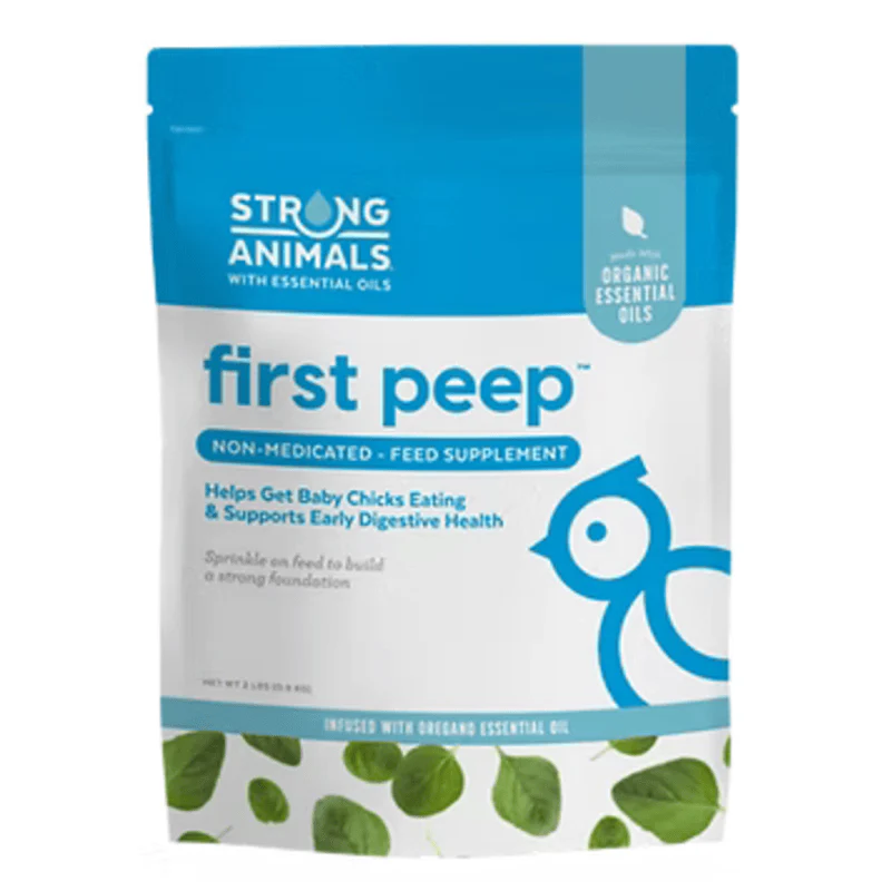 Baby Chick Care Kit - Image 3