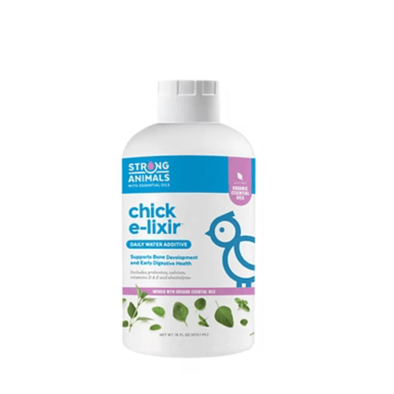 Baby Chick Care Kit - Image 4
