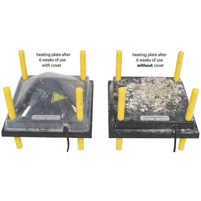 Basic Baby Chick Brooder Kit - Image 3