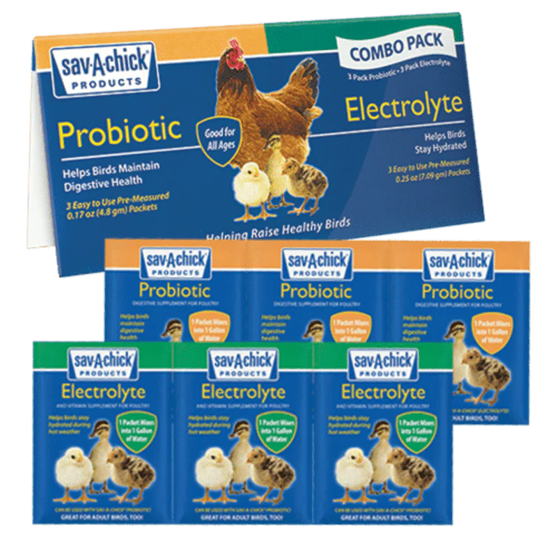 Basic Baby Chick Brooder Kit - Image 4