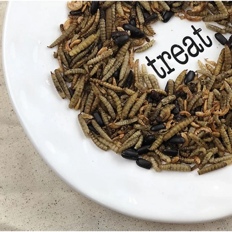 Bug Bonanza Chicken Treats - Image 4