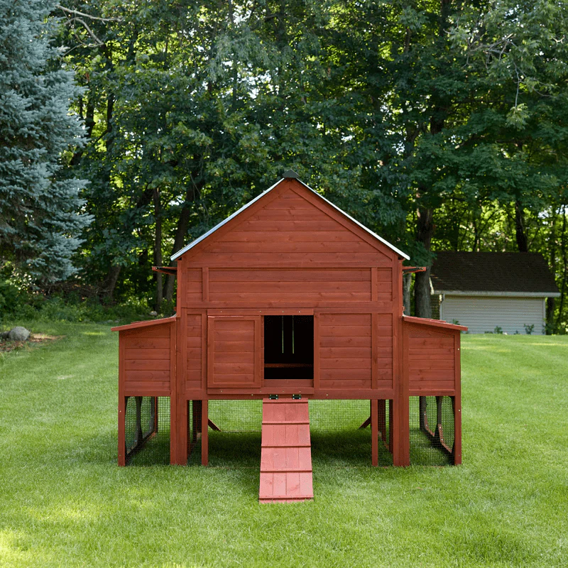 BUNDLE: Brahma Chicken Coop + Run Extension + Run Roof - Image 3