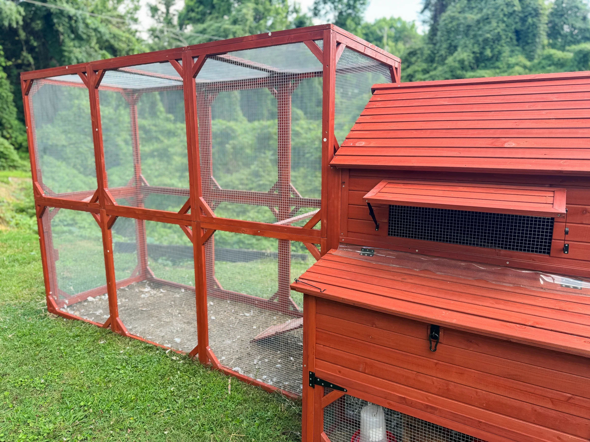 BUNDLE: Rhode Island Chicken Coop + Run Extension + Run Roof - Image 12