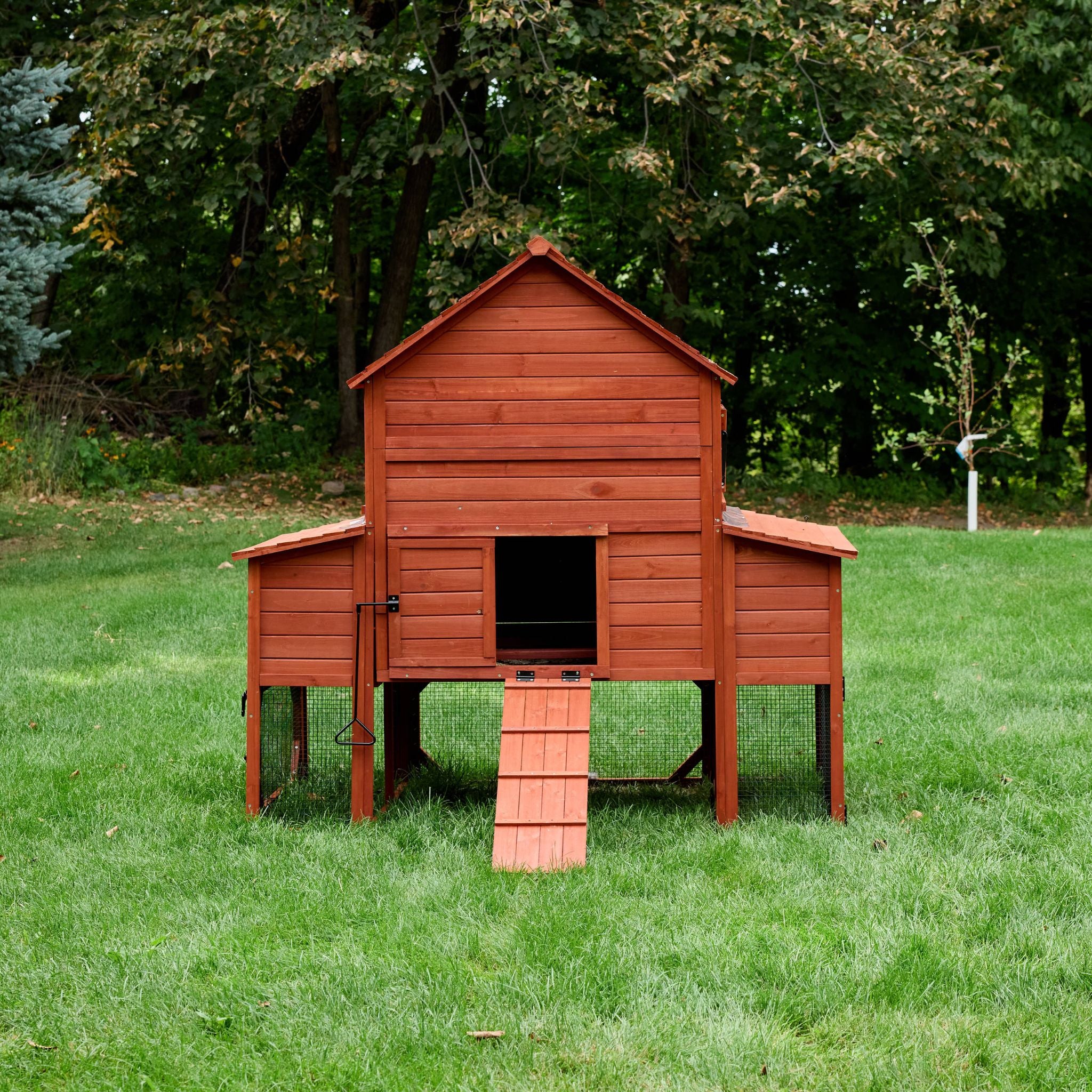 BUNDLE: Rhode Island Chicken Coop + Run Extension + Run Roof - Image 6