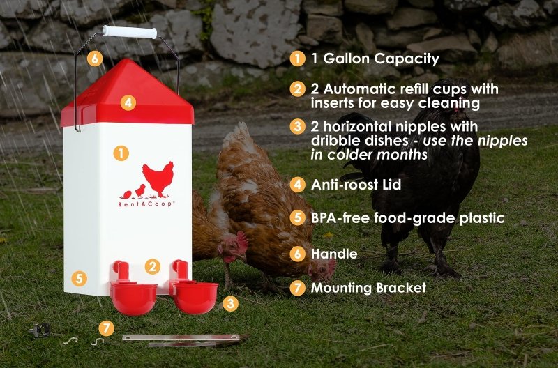 Chick2Chicken 5lb 2-Port Chicken Feeder and 1-Gal Small Cage Waterer Set - Image 6