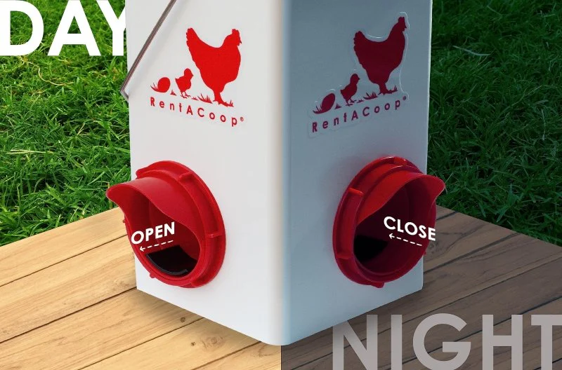 Chick2Chicken 5lb 2-Port Chicken Feeder and 1-Gal Small Cage Waterer Set - Image 8