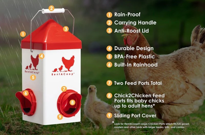 Chick2Chicken 5lb 2-Port Chicken Feeder and 1-Gal Small Cage Waterer Set - Image 9