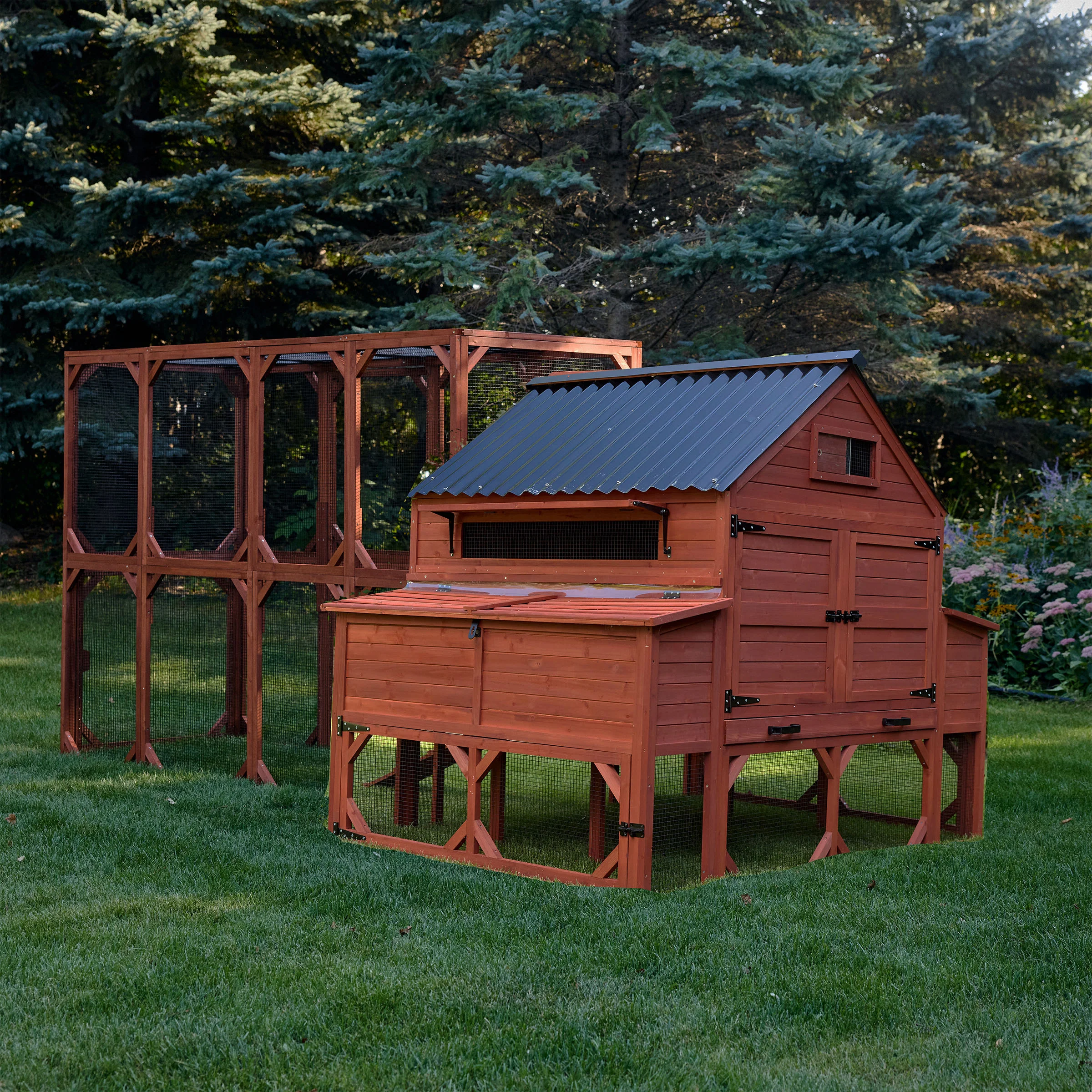 Chicken Coop for 15 Chickens – Brahma Chicken Coop - Image 11