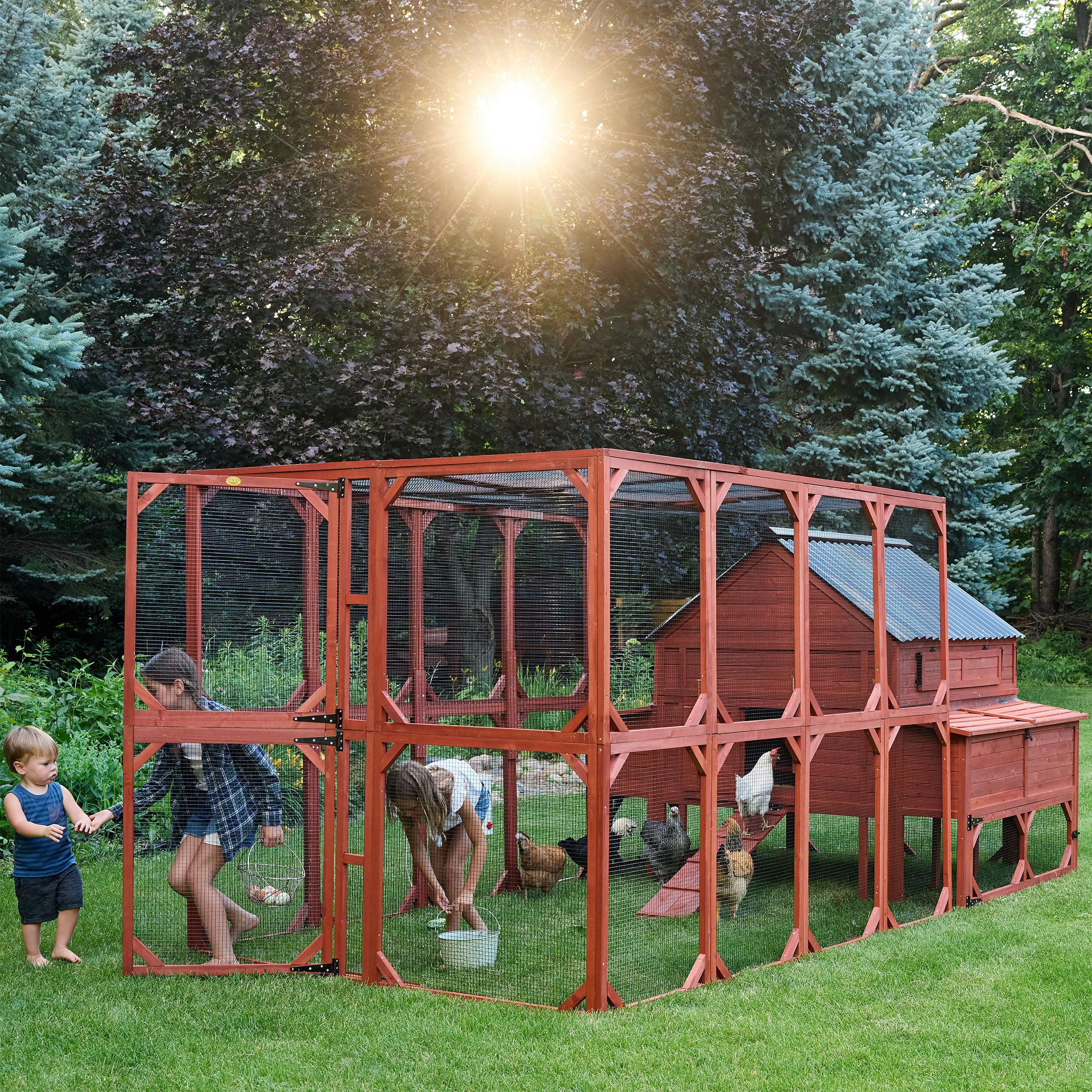 Chicken Coop for 15 Chickens – Brahma Chicken Coop - Image 12
