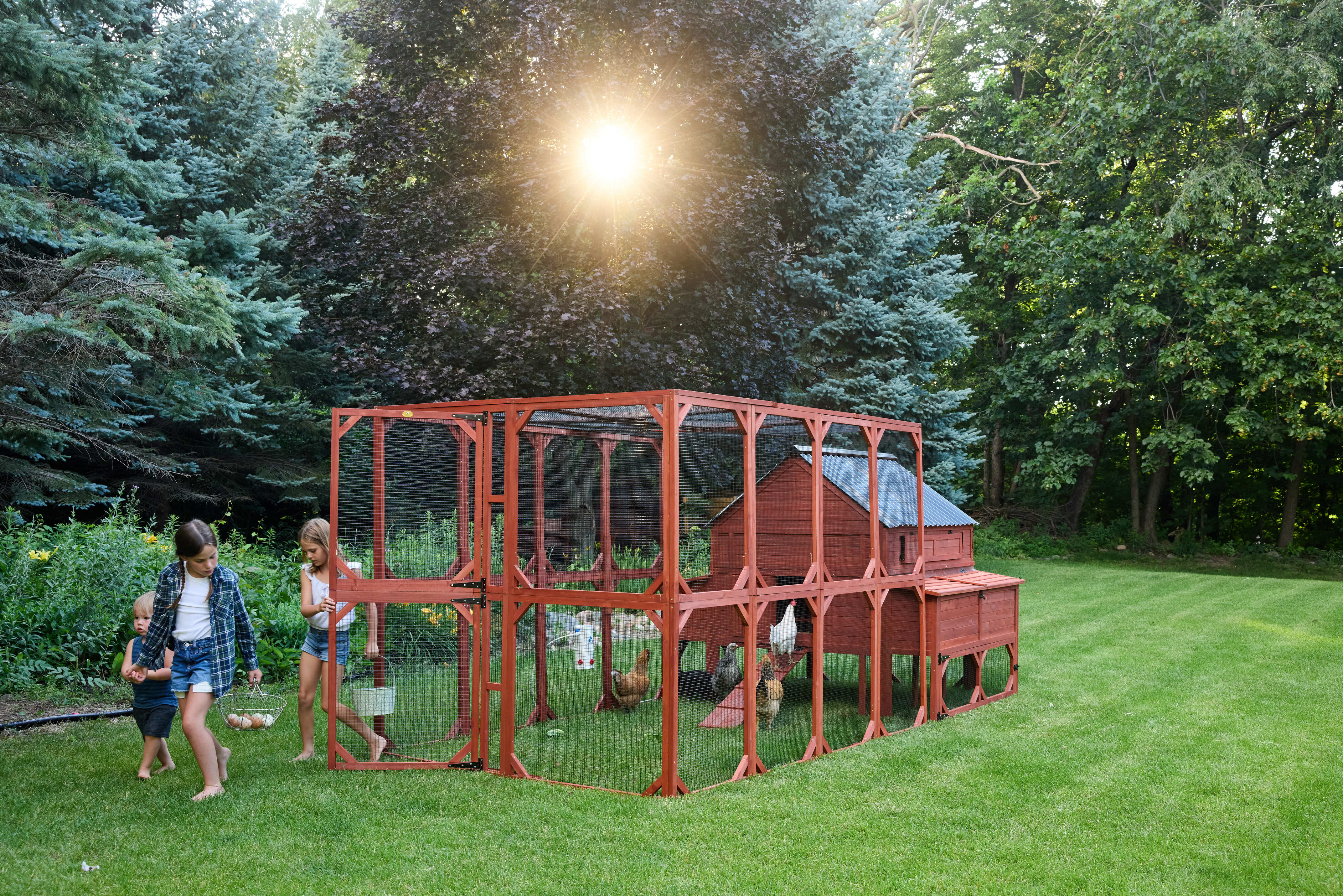 Chicken Coop for 15 Chickens – Brahma Chicken Coop - Image 13