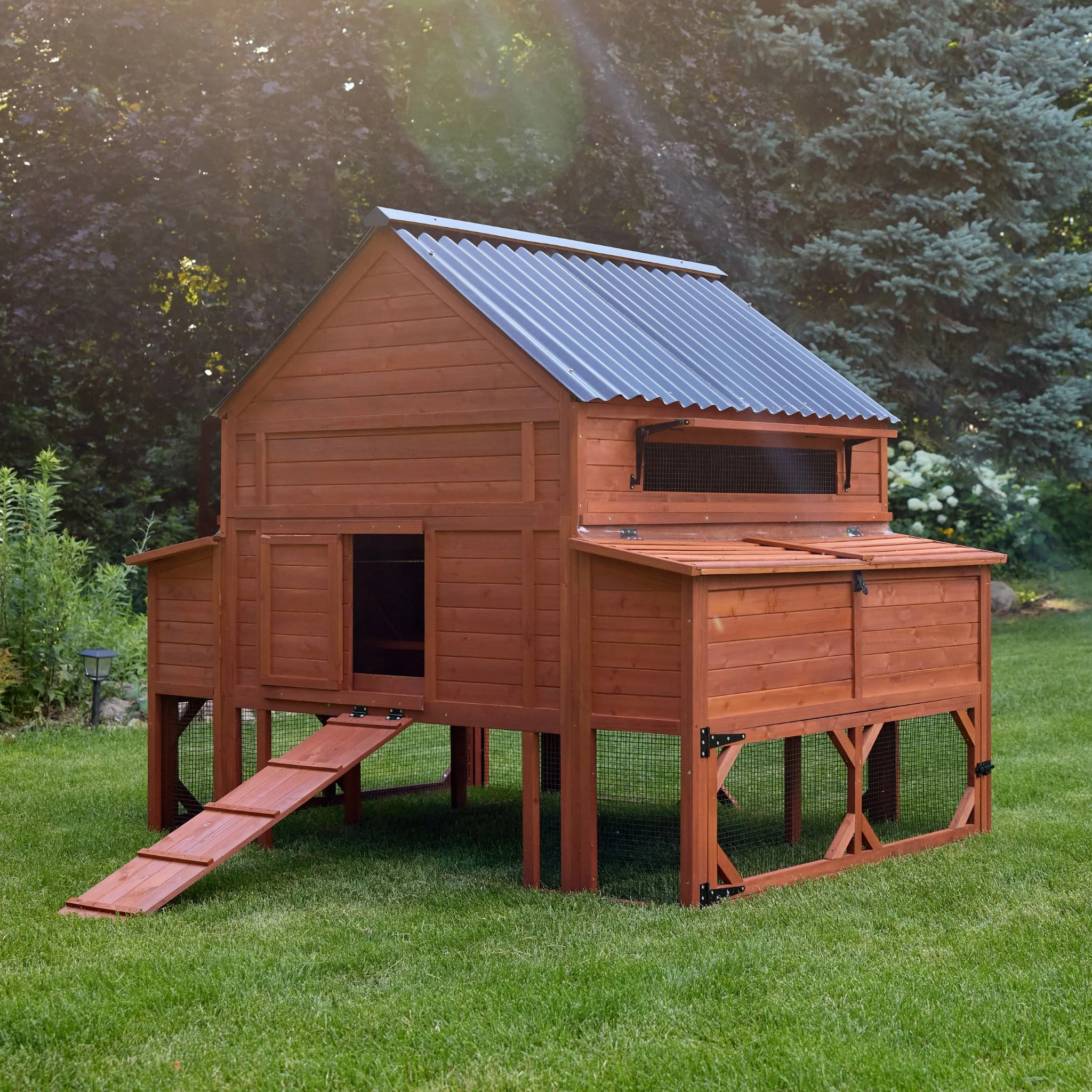 Chicken Coop for 15 Chickens – Brahma Chicken Coop - Image 3