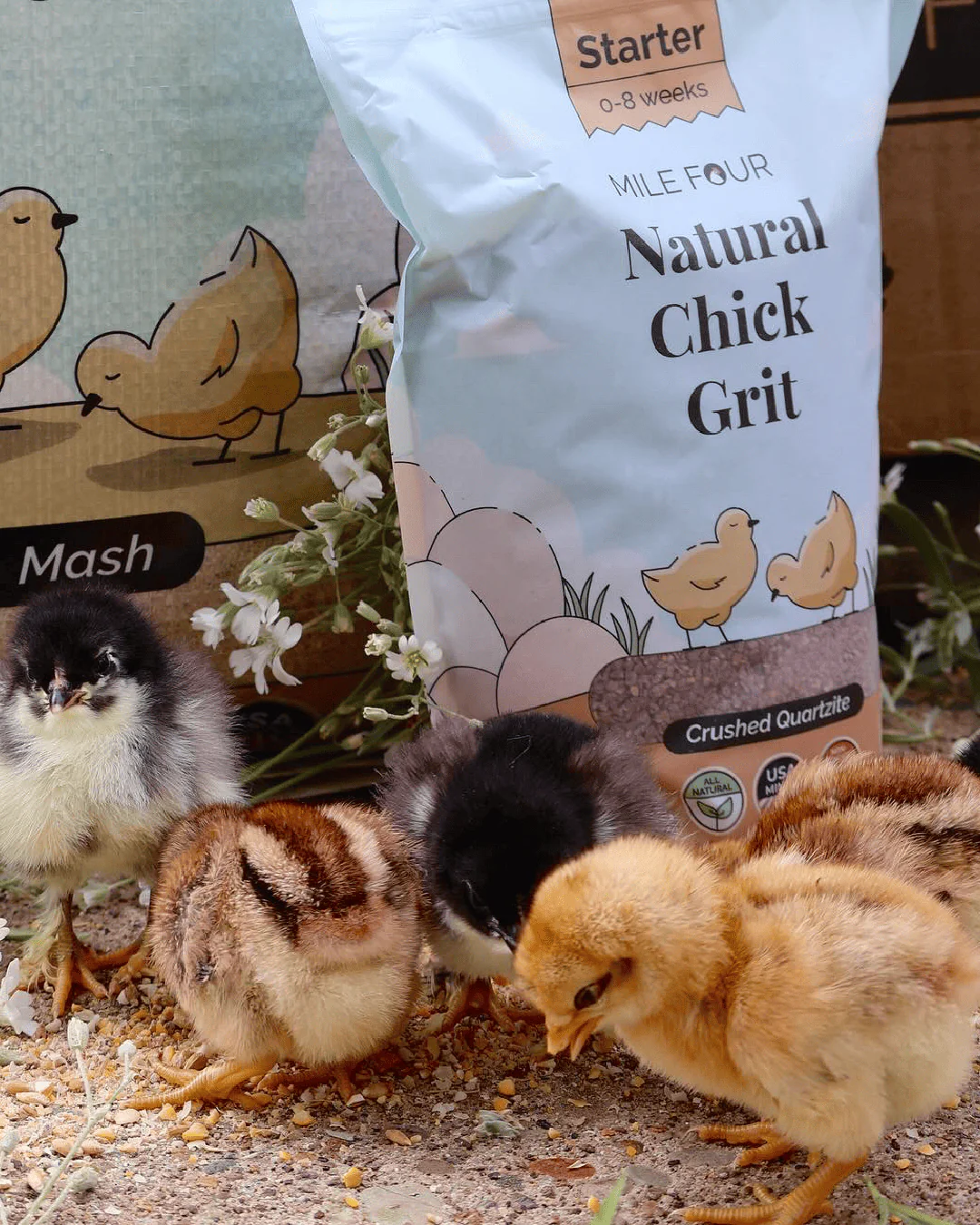 Chicken Grit - Image 10