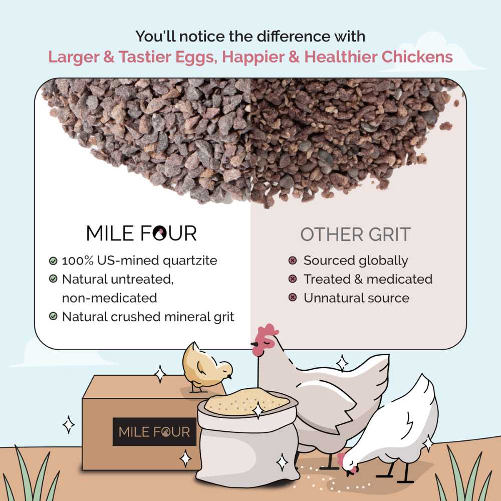 Chicken Grit - Image 5