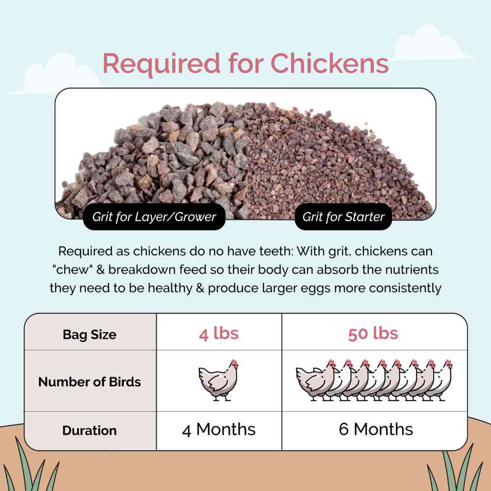 Chicken Grit - Image 6