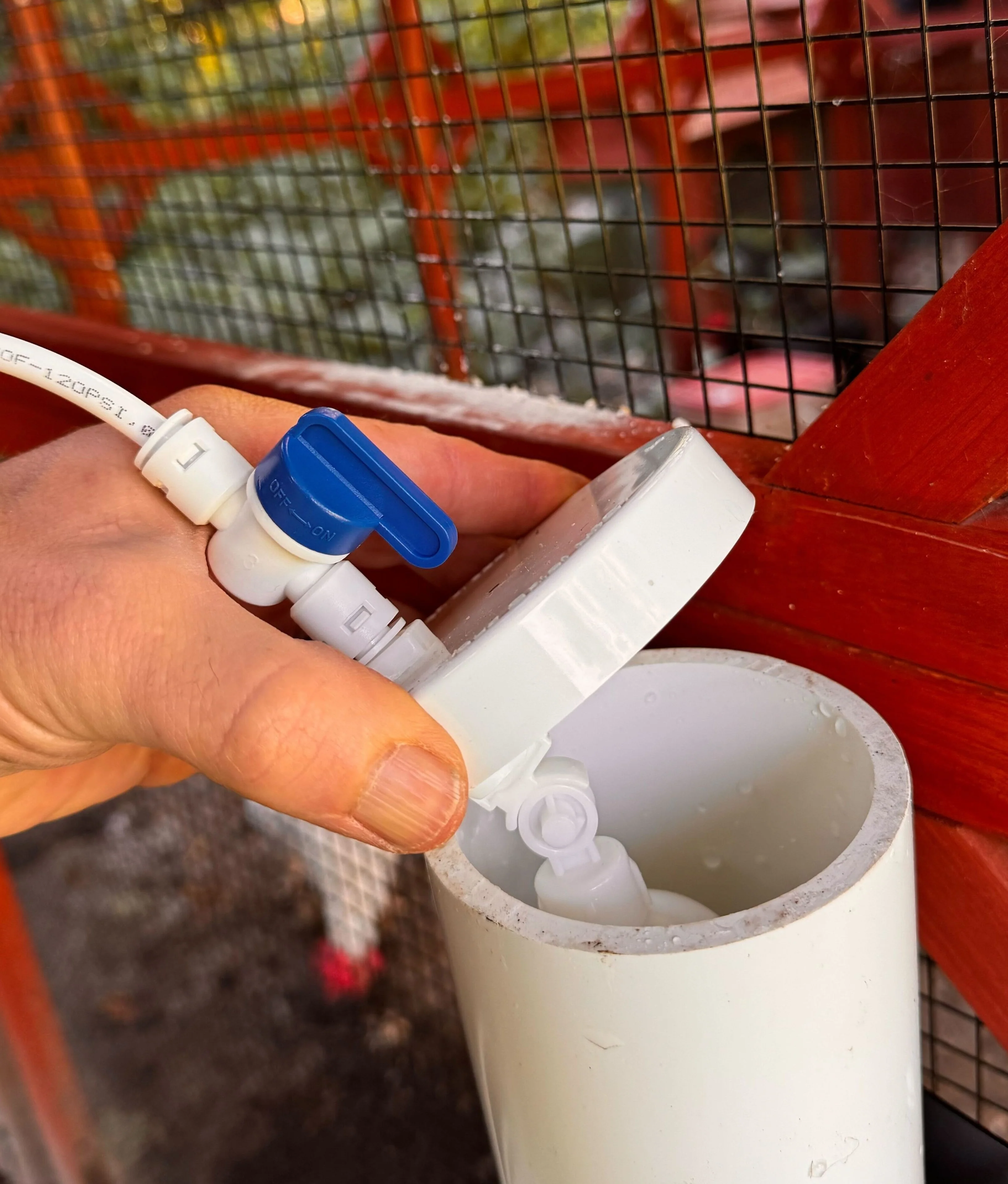 Continuous Chicken Waterer Conversion Cap for Waterers - Image 3
