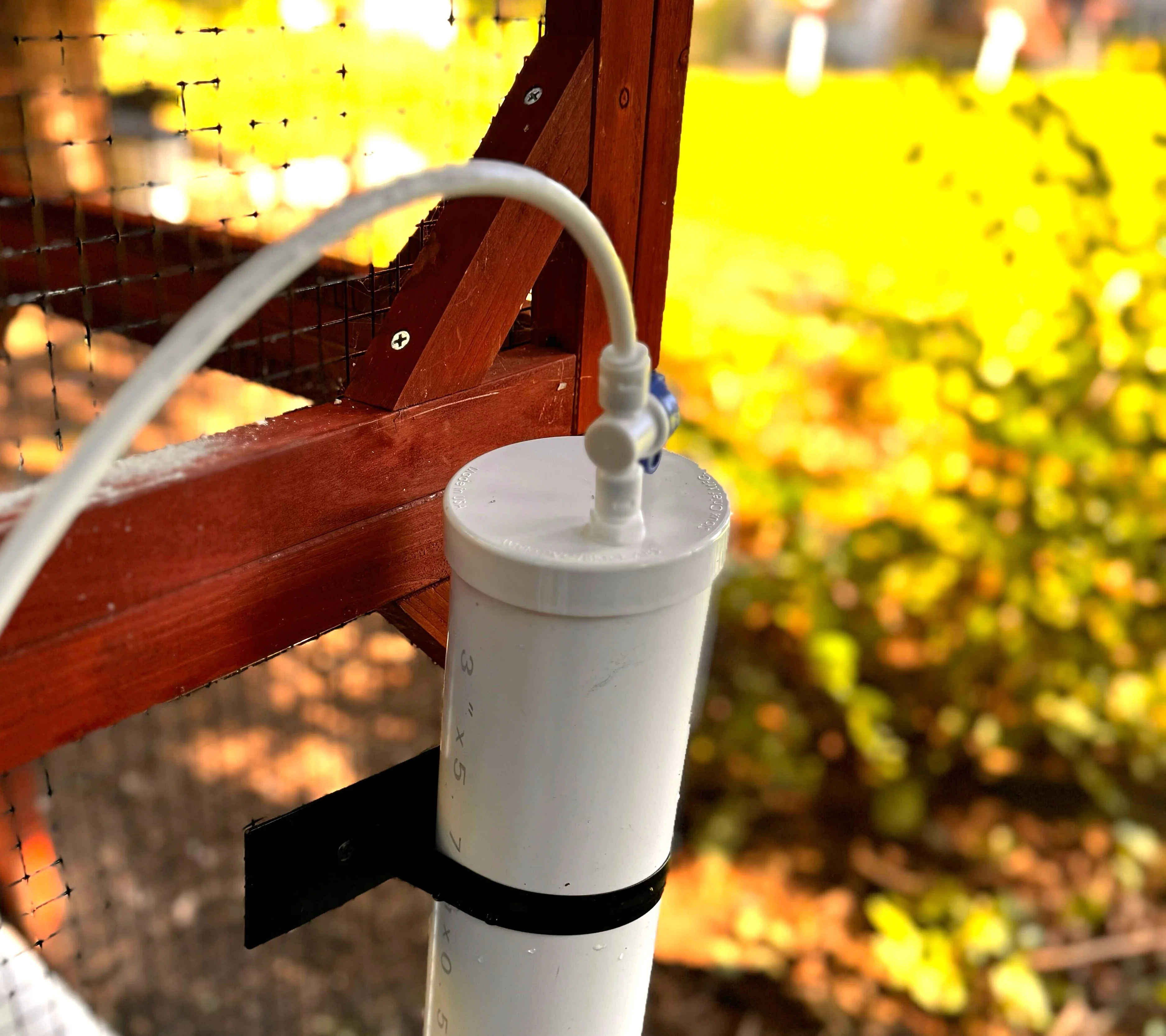 Continuous Chicken Waterer Conversion Cap for Waterers - Image 5