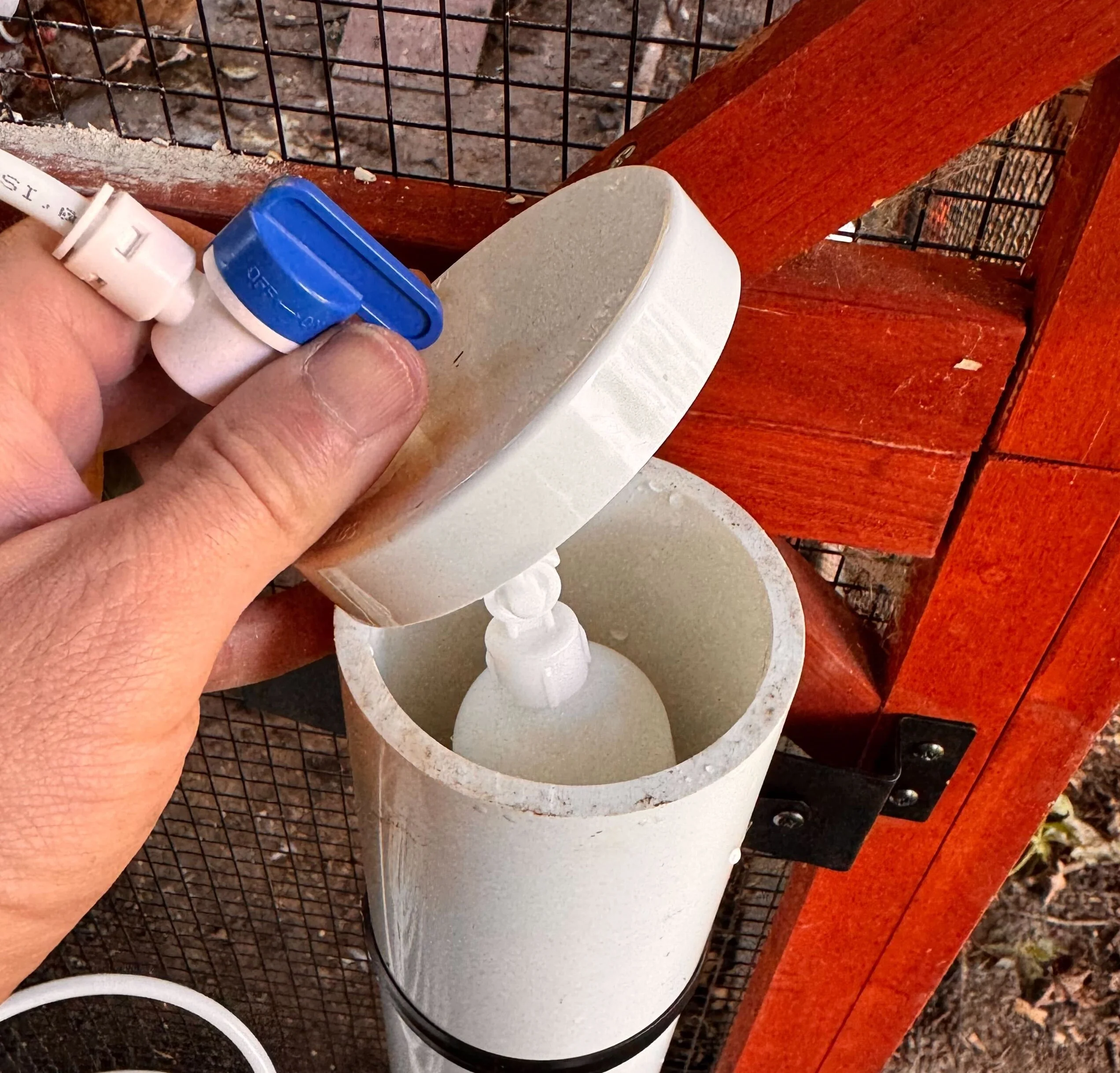 Continuous Chicken Waterer Conversion Cap for Waterers - Image 6