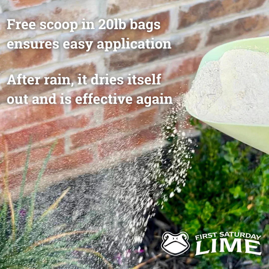 First Saturday Lime Insect Repellent - Image 11
