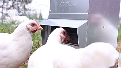Galvanized Chicken Trough Feeder, Weatherproof Poultry Food Dispenser with Lid - 50lb - Image 4