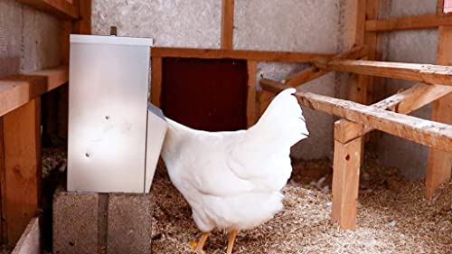 Galvanized Chicken Trough Feeder, Weatherproof Poultry Food Dispenser with Lid - 50lb - Image 5