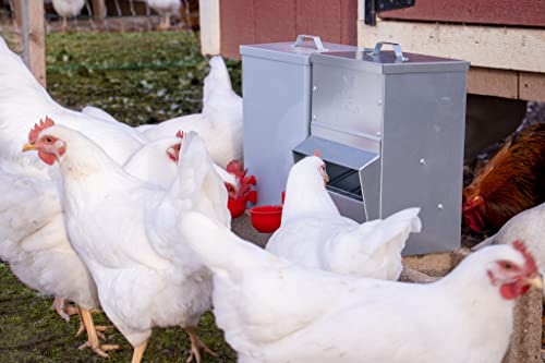 Galvanized Chicken Trough Feeder, Weatherproof Poultry Food Dispenser with Lid - 50lb - Image 6
