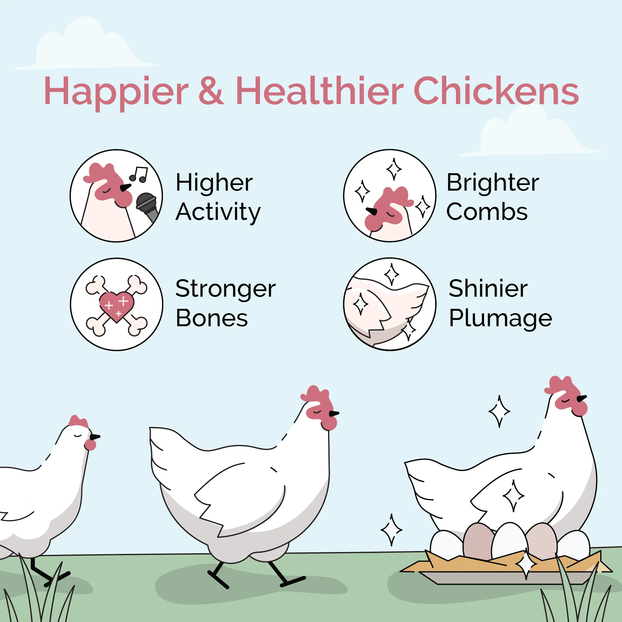 Grower Feed Kit | 12 Weeks of Organic Feed & Grit for 10 Pullets - Image 3