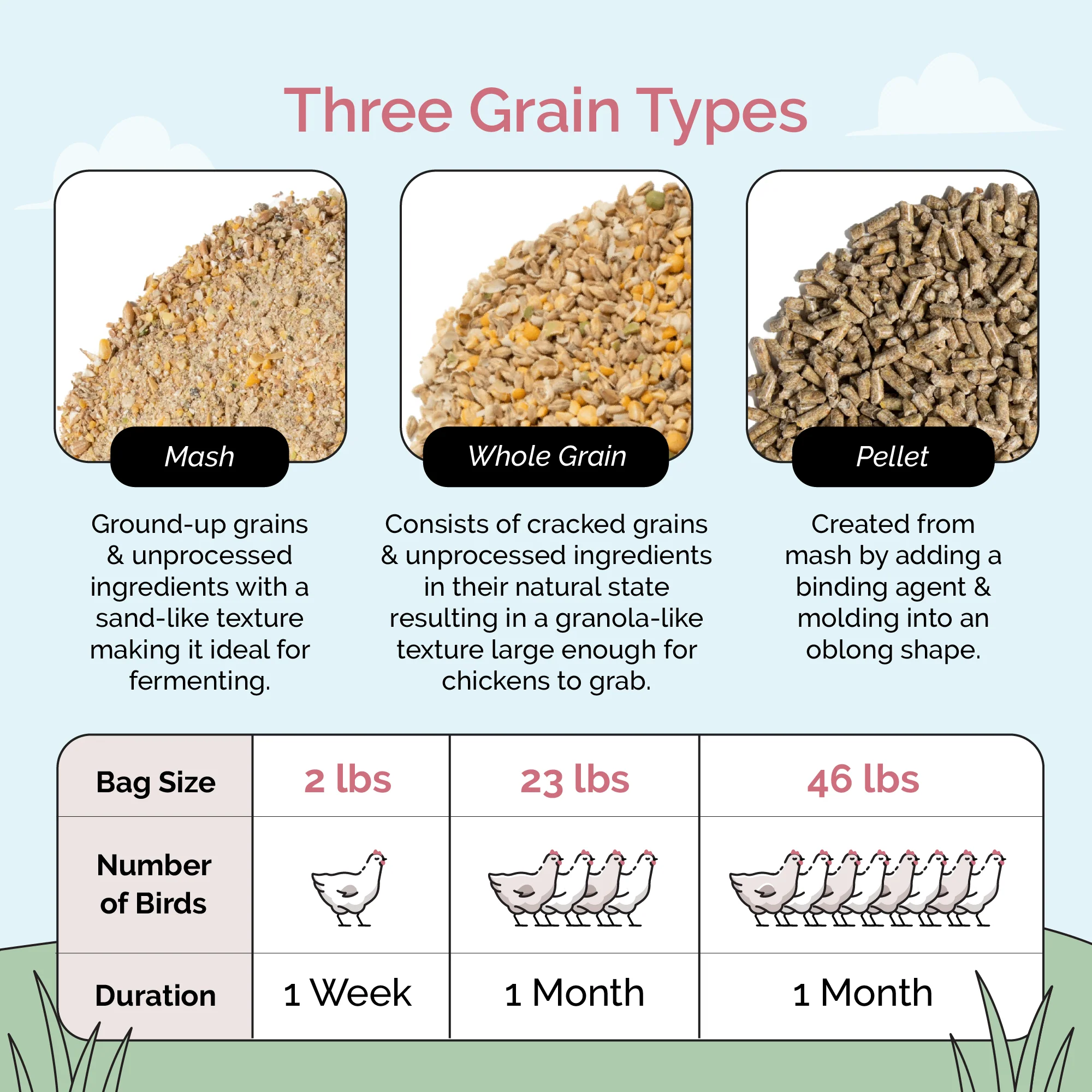 Grower Feed Kit | 12 Weeks of Organic Feed & Grit for 10 Pullets - Image 6