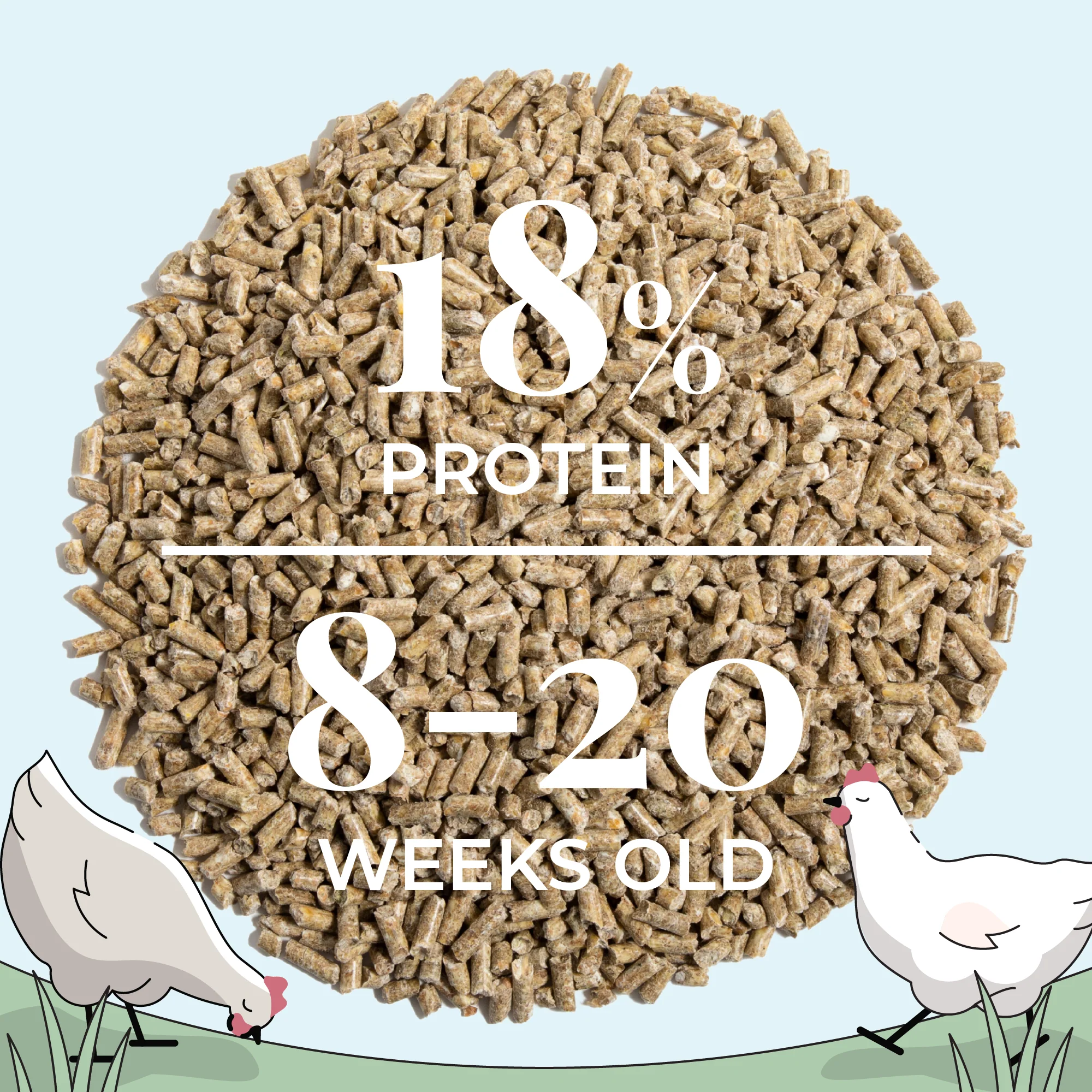 Grower Feed Kit | 12 Weeks of Organic Feed & Grit for 10 Pullets - Image 7