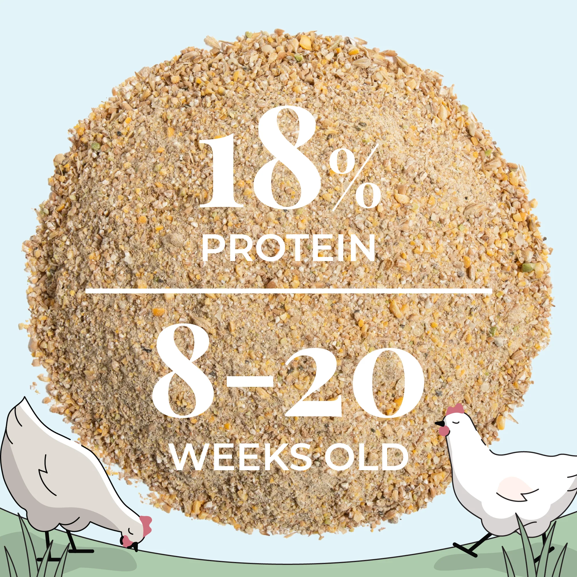 Grower Feed Kit | 12 Weeks of Organic Feed & Grit for 10 Pullets - Image 8