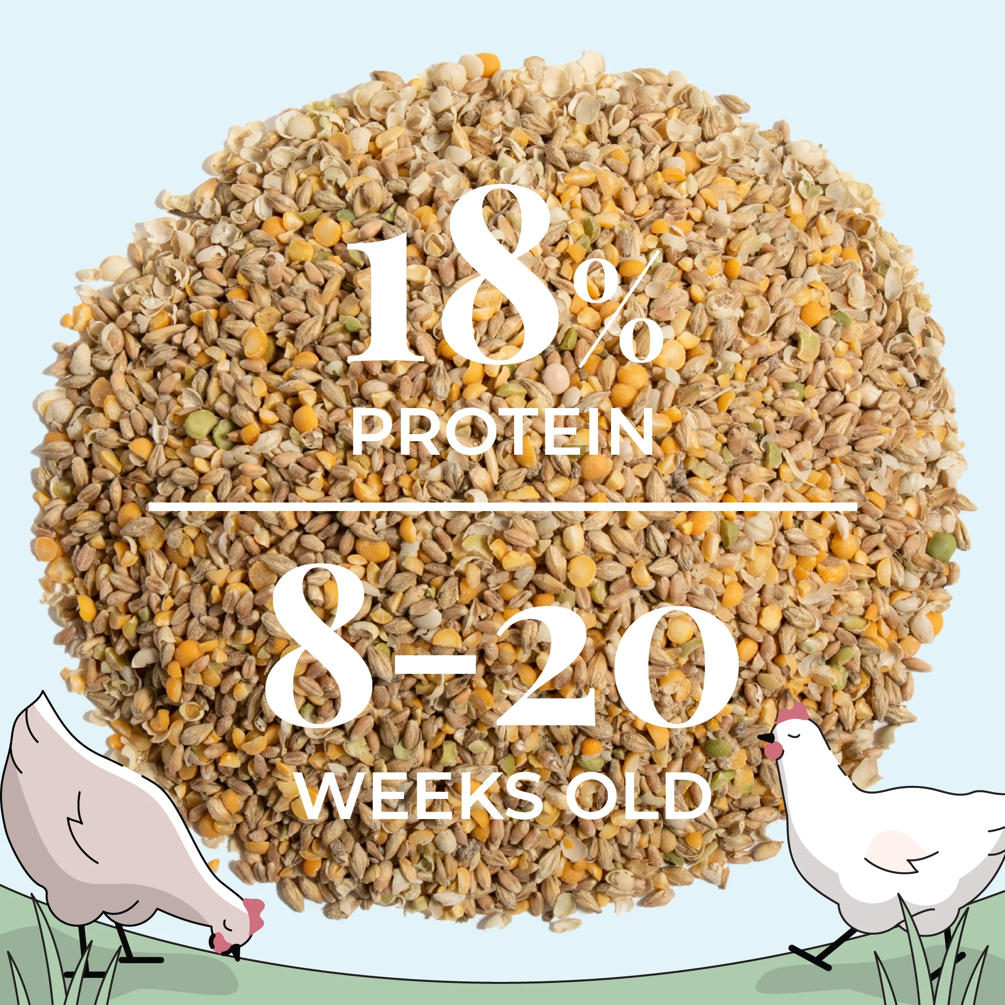 Grower Feed Kit | 12 Weeks of Organic Feed & Grit for 10 Pullets - Image 9