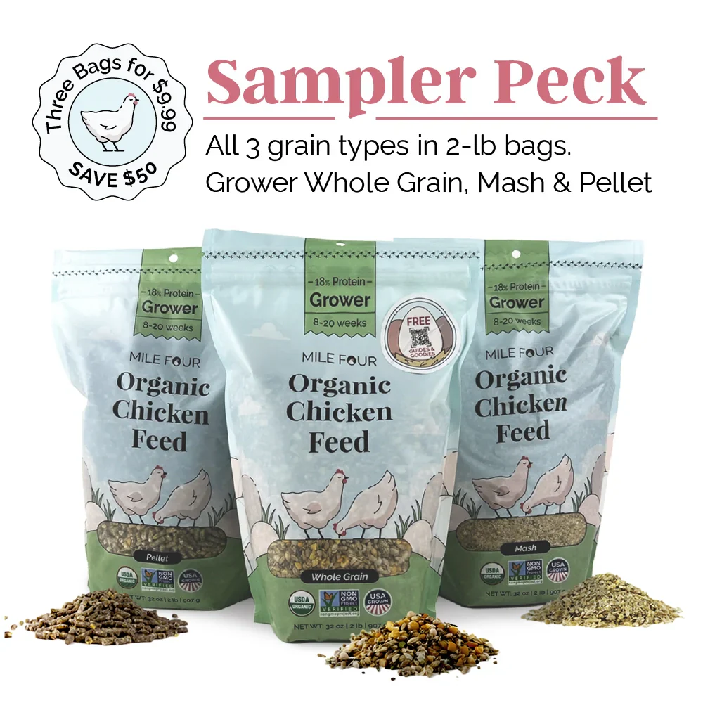 Grower Organic Chicken Feed - Image 29