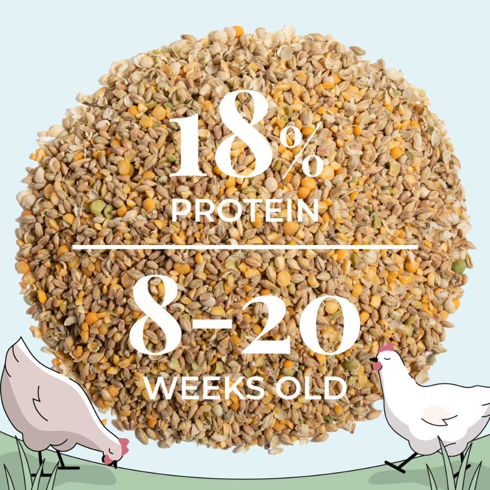 Grower Organic Chicken Feed - Image 6