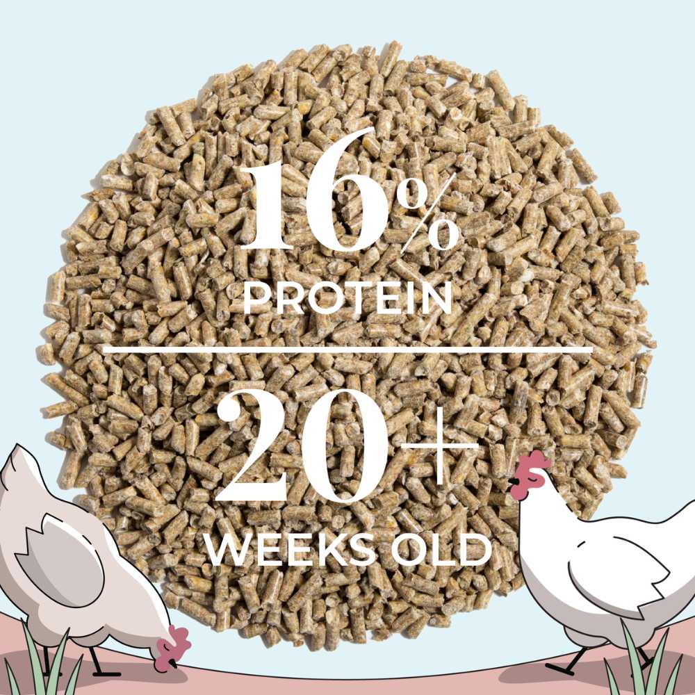 Layer Organic Chicken Feed - Image 10