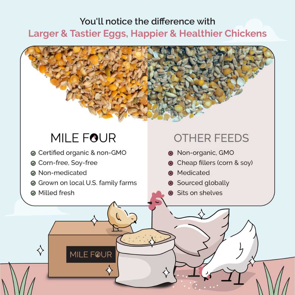 Layer Organic Chicken Feed - Image 17