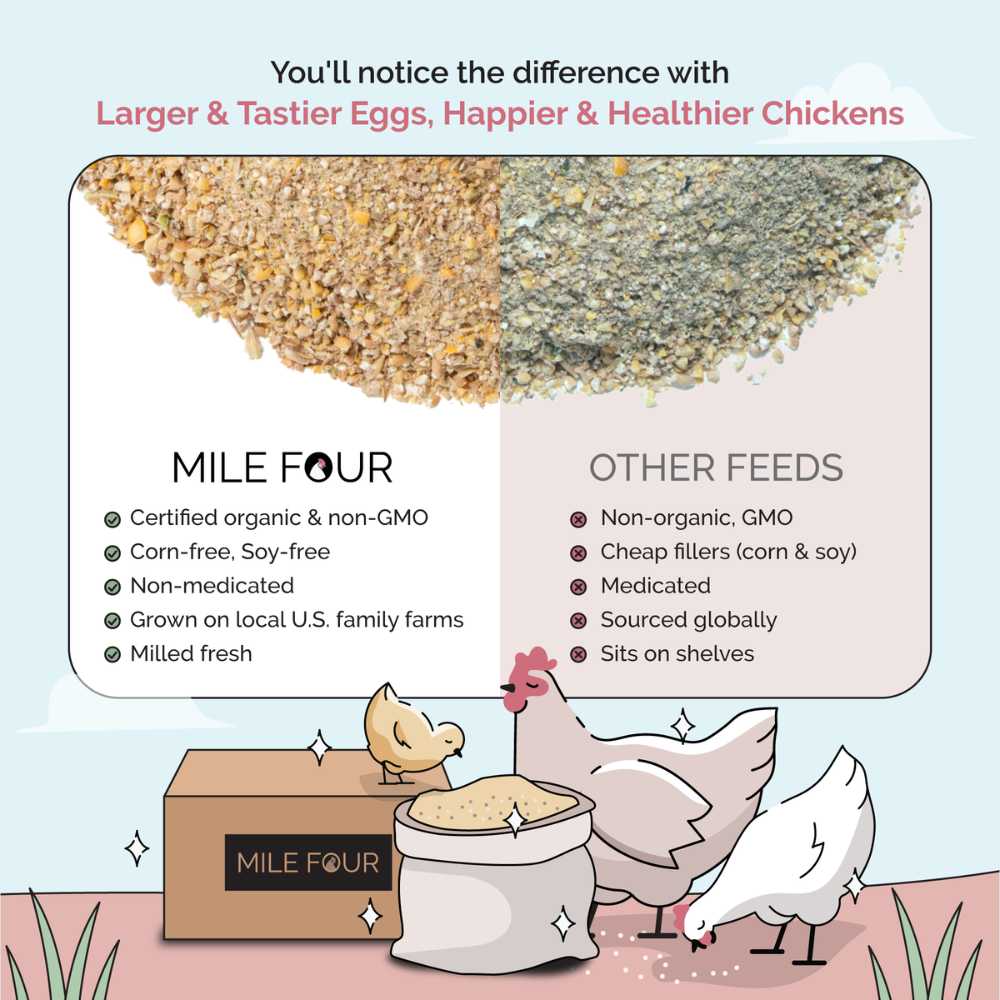 Layer Organic Chicken Feed - Image 19