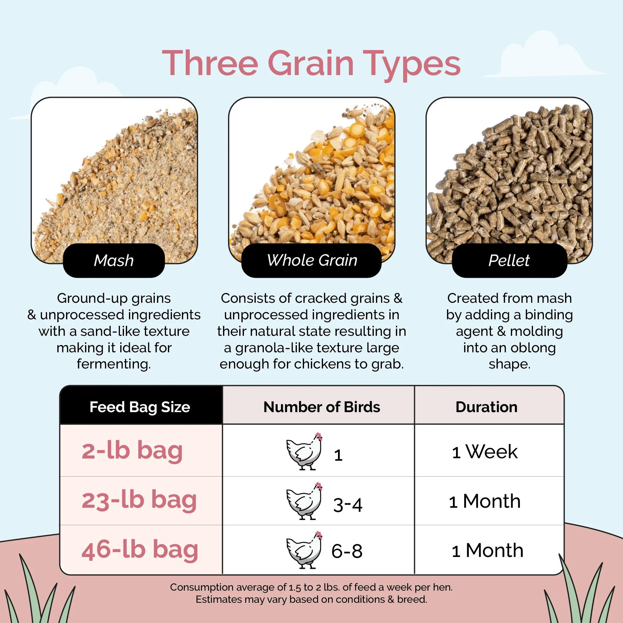 Layer Organic Chicken Feed - Image 21