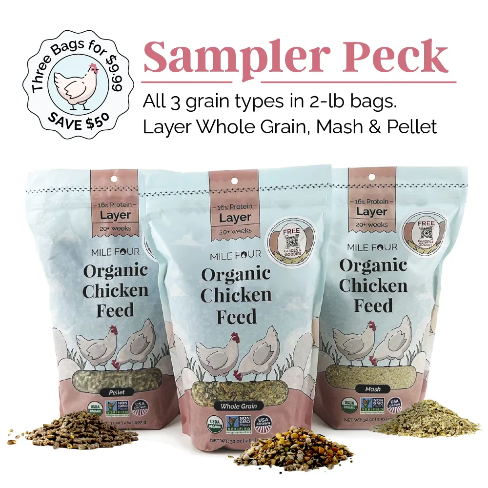 Layer Organic Chicken Feed - Image 31