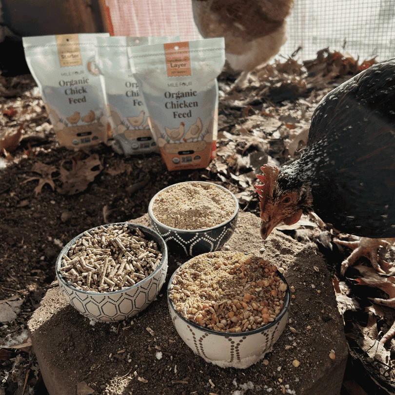 Layer Organic Chicken Feed - Image 34